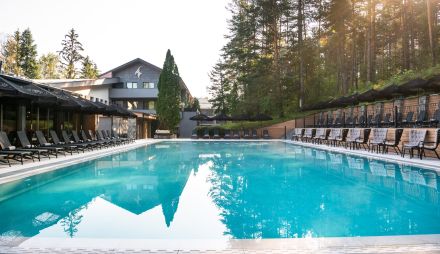 Kashmir Wellnes & SPA hotel