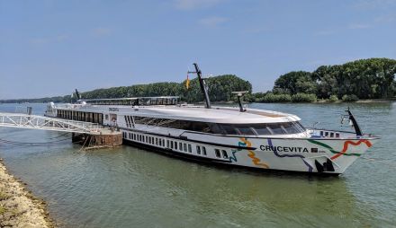 CRUCEVITA SHIP