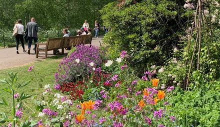 Лондон - петдневна