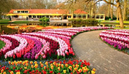 Великден в Истанбул, Турция - Фестивал на лалетата с автобус от Русе и Велико Търново - 3 нощувки