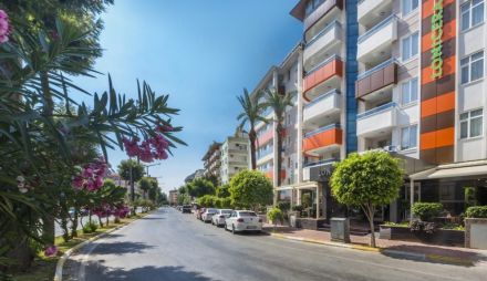 LONICERA CITY