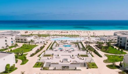 Cleopatra Sidi Heneish Premium