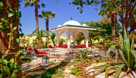 SIMBA CLUB - Samira Club Standard