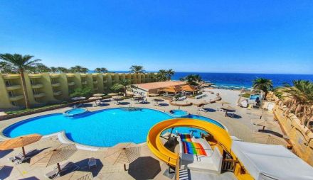 Palm Beach Resort Standard